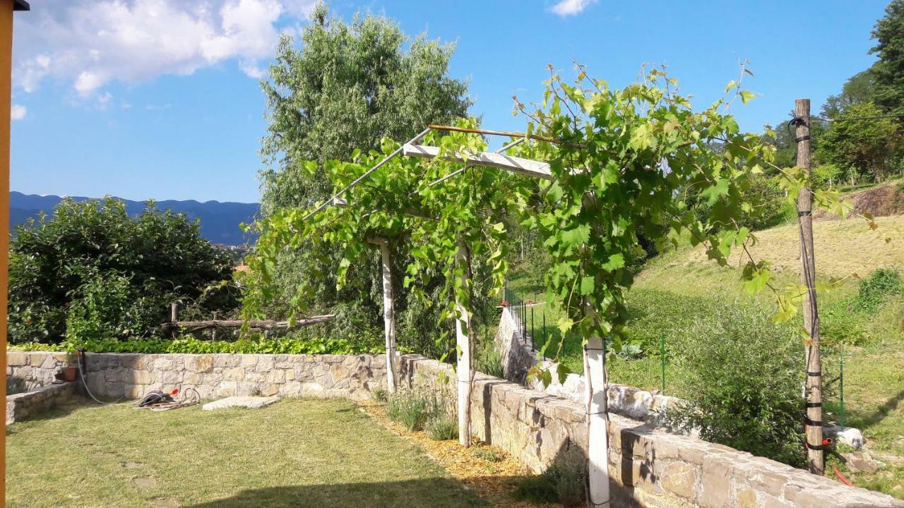Pocitniska Hisa Guest House Dobravlje Eksteriør bilde